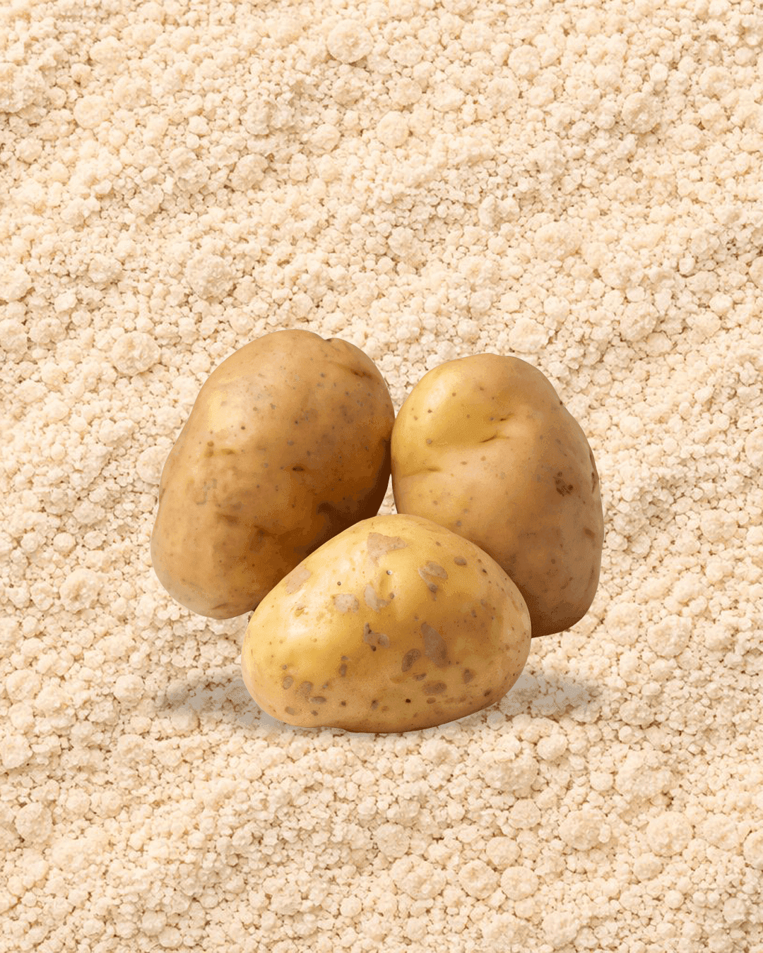 Potato Protein